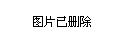 忻州市统计局发布最新新闻报告，揭示最新统计数据及分析